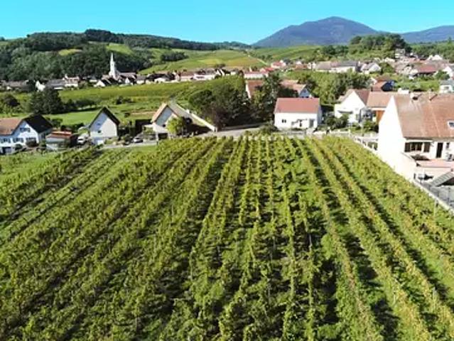 Nothalten 67680 Programme neuf maison neuf à vendre 7 pièces