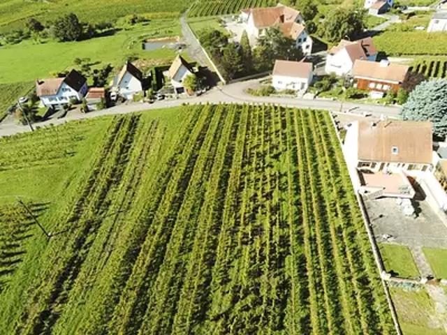Nothalten 67680 Programme neuf maison neuf à vendre 5 pièces