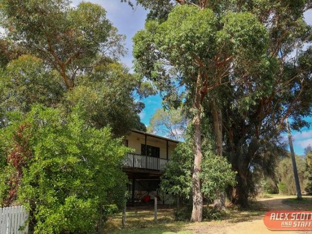 Your Private Treehouse by the Bay