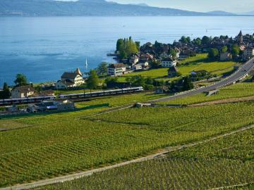 Lausanne, District de Lausanne, Waadt