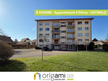 NOUVEAUTE ORUGAMI EN EXCLUSIVITE A OSTWALD