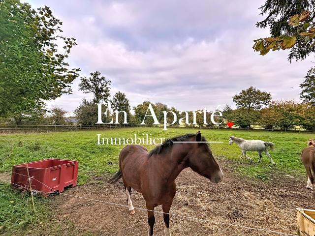 NOUVEAUTE QUARTIER RECHERCHE