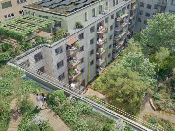 Corsier-sur-Vevey, District de la Riviera-Pays-d’Enhaut, Kanton Freiburg