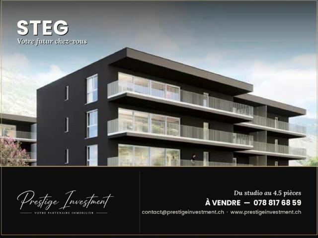 Nouvelle Promotion à Steg, Valais dès CHF 158'000