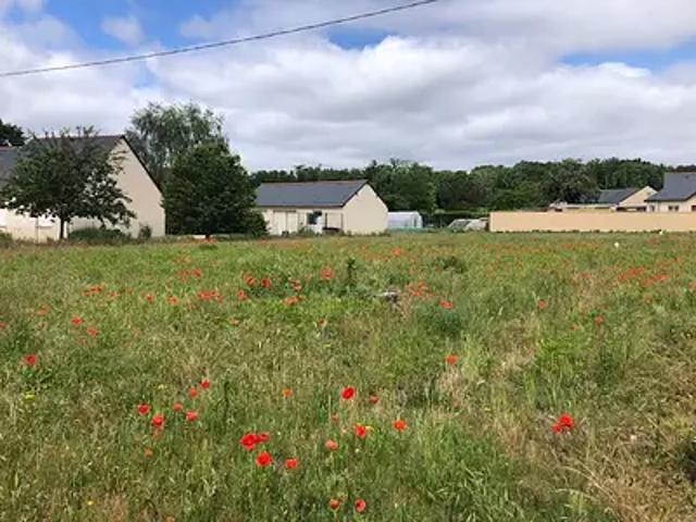 Nouzilly 37380 Programme neuf maison neuf à vendre 4 pièces
