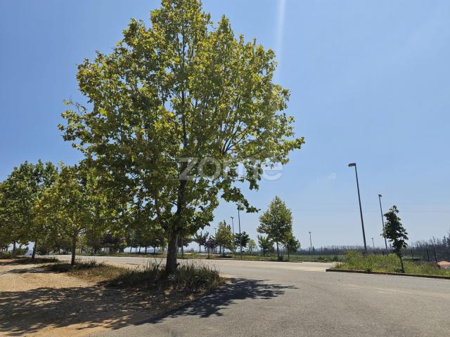 Nova Angariação | Terreno Urbano em Valongo da Vouga, Águeda
