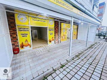 Çalı, Nilüfer, Nilüfer, Bursa ili, Marmara Bölgesi