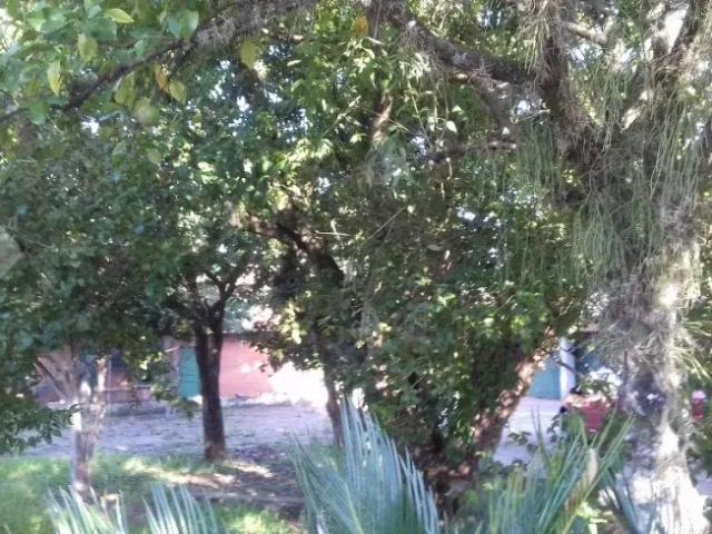 Novo hamburgo casa padrão são jorge