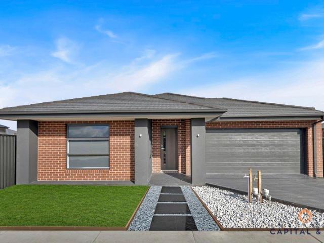 Beautiful four bedroom house with two living areas
