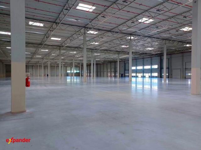 Nowoczesny magazyn 5000 m² z biurami i wysokim standardem