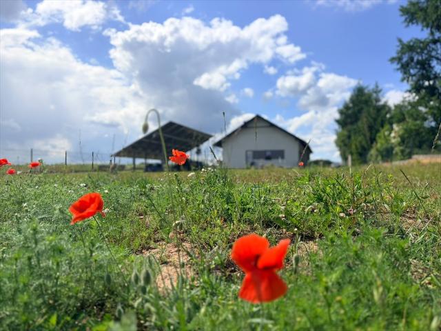 Nowoczesny dom 110 m² z poddaszem, fotowoltaiką i dużą działką