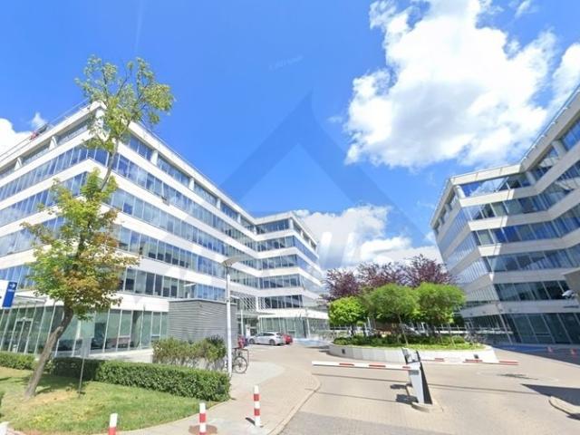 Na wynajem nowoczesny lokal 190 m² z dużymi oknami w Warszawie