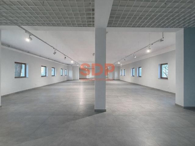 Nowoczesny lokal 260 m2 na wynajem w Świdnicy