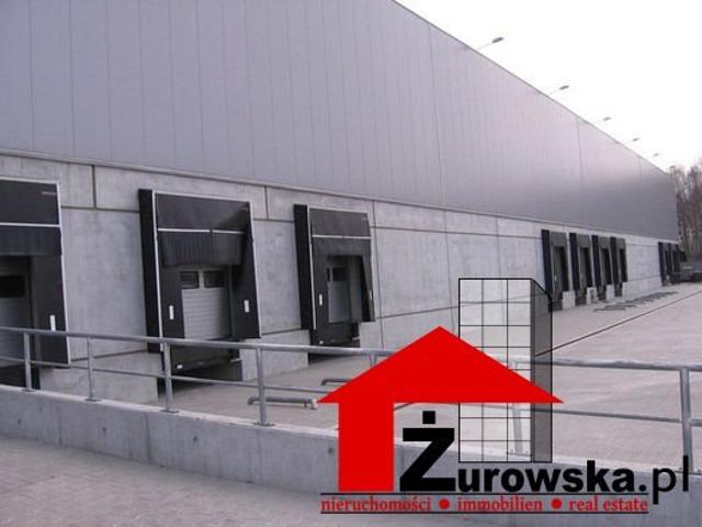 Nowoczesna hala magazynowa 7 500 m² z dokami i biurami