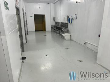 Nowoczesna hala produkcyjno magazynowa 3000 m², Wołomin