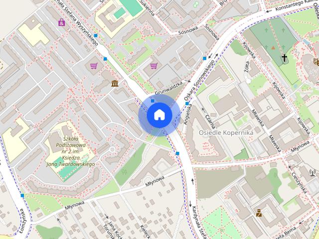 NOWOCZESNE, PRZYTULNE, W CENTRUM, 25 m2