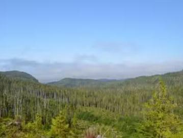 N/W 1/4 Shushartie Bay, Port Hardy, BC, V0N 2P0 vacant land.