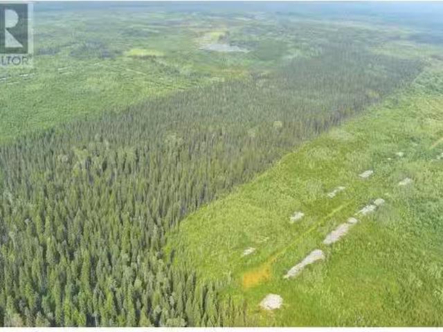 Nw Eaglet Lake, Prince George, BC, V0J 3C0 vacant land for s.