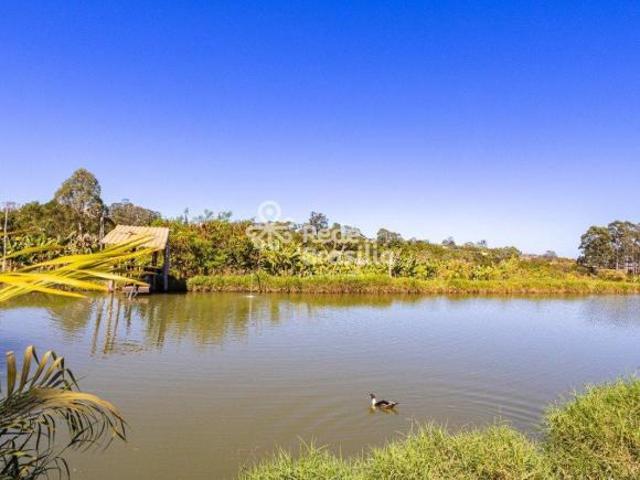 Núcleo Rural Taguatinga | Chácara Área de 270.000 m² | atrás da UNB entre Ceilândia e Samambaia