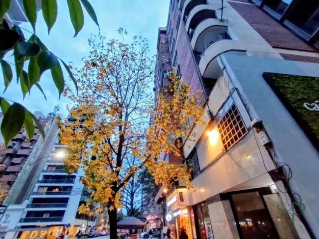 Nueva Córdoba Monoambiente Rondeau 584