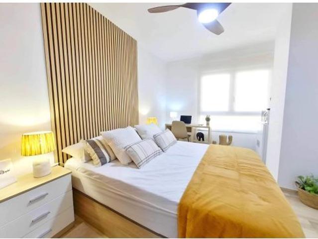 Nueva Habitación en pleno centro de Alicante