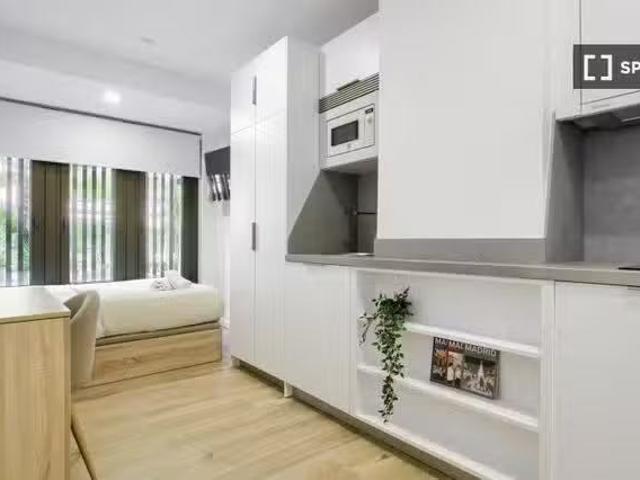 Único Estudio en alquiler en Bellas Vistas, Madrid