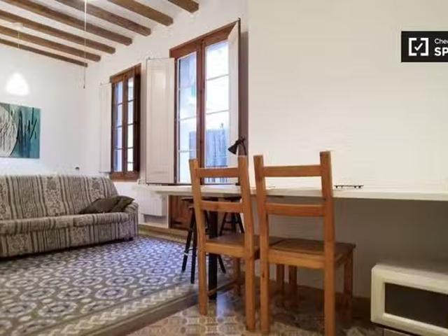 Único Estudio en alquiler en el Gòtic, Barcelona