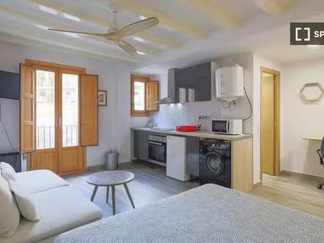 Encantador Estudio en alquiler en El Raval, Barcelona