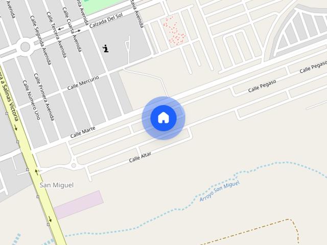 Nuevo León, orion, Salinas Victoria