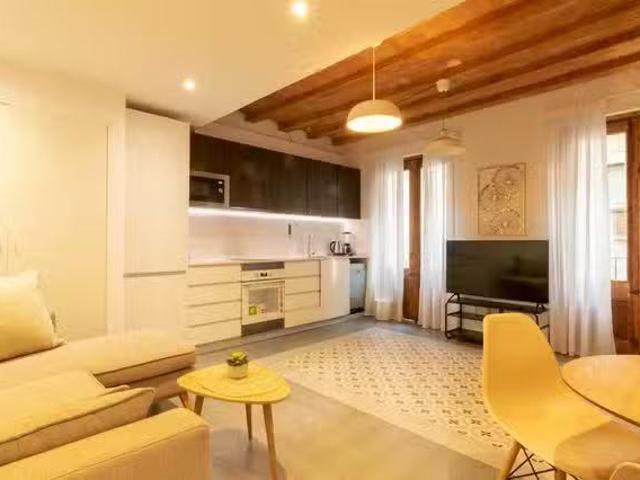 Acogedor Piso de 1 habitación en Passatge de la Virreina