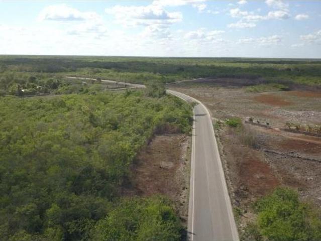 NUEVO PRECIO OPICHEN TERRENO DE 264 HECTAREAS GVT 1237