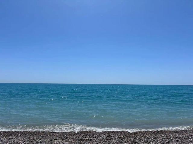 Nules