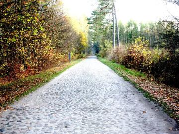 Przestronny dom 377 m² na dużej działce 3,05 ha z zbiornikami paliwa