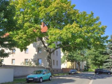 Damaschkestraße, Frankfurt, Zeilsheim
