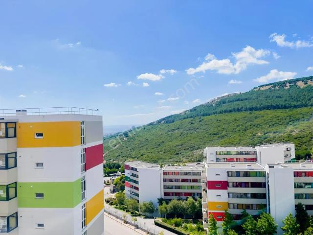 Nusret Öztürk'ten narcity'de 1+1 Eşyalı Kiralık Manzaralı Daire