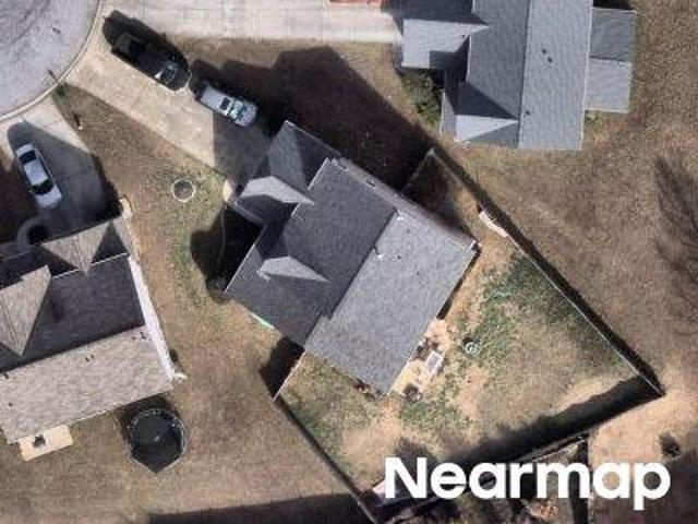 Nut Leaf Ln