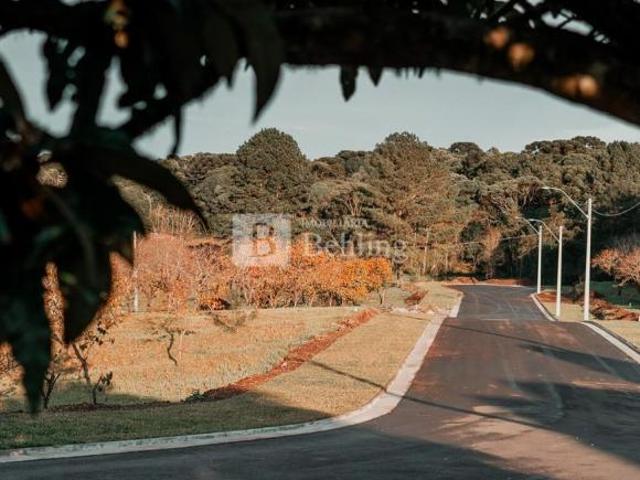 O NOVO ESPAÇO URBANO DE GRAMADO!