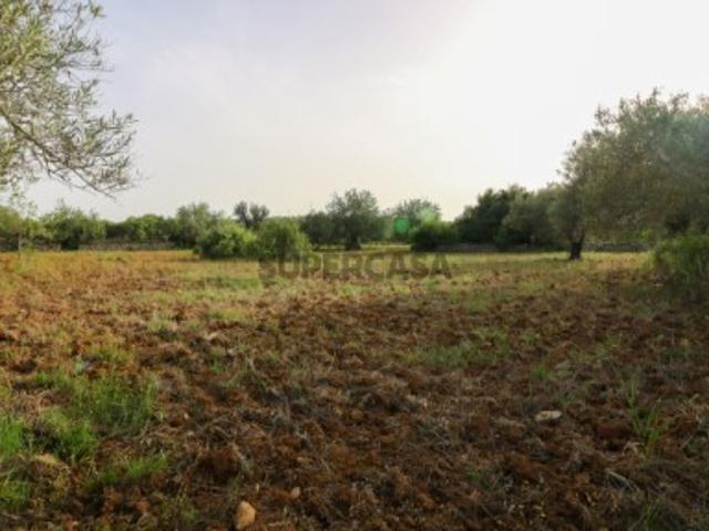 O Coração do Barrocal: Terreno de 8.840m² com Alma