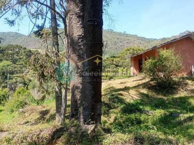 O encanto da vida simples em meio às montanhas