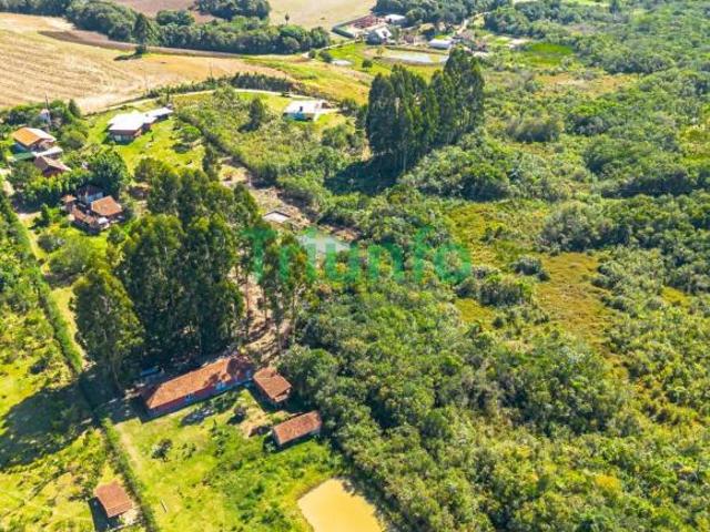 O Paraíso a 17 min de Santa Felicidade: Chácara de 20.000m² em Madeira de Lei