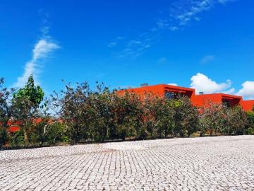 O Refúgio Perfeito Onde o Design Encontra a Natureza
