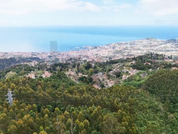 O Seu Refúgio de Sonho com Vista Deslumbrante sobre a Baía do Funchal!