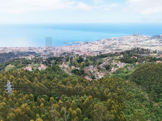 O Seu Refúgio de Sonho com Vista Deslumbrante sobre a Baía do Funchal!
