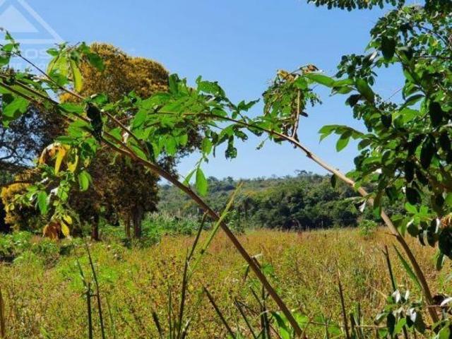 O Sonho de ter Seu Sitio Nunca Esteve Tão Perto! Fazendinhas 20.000 m2 – Mirante do Rio – São Vice