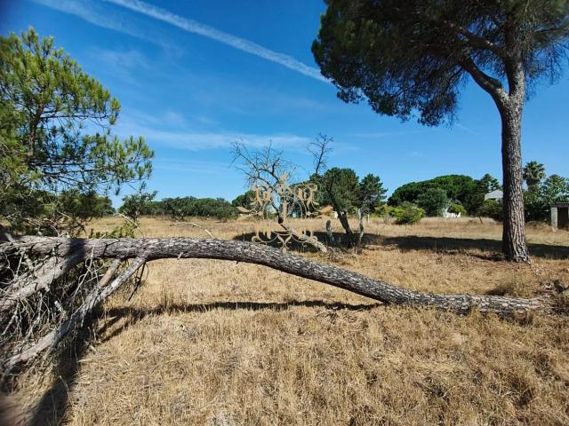 O terreno onde o seu futuro começa Lagameças Palmela