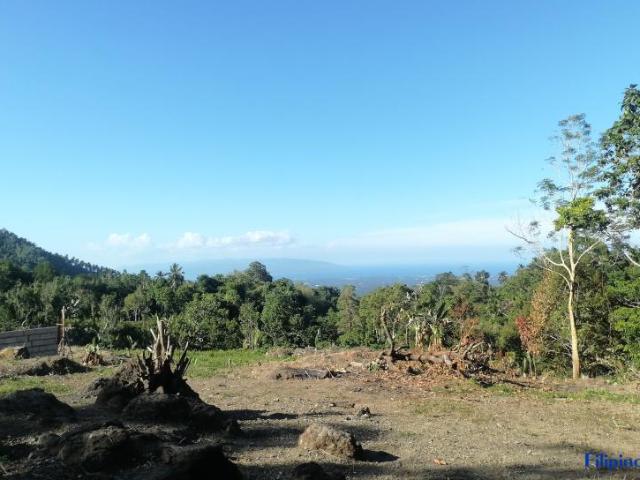 OCEAN VIEW LOT FOR SALE ID 15127