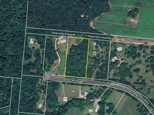 OCEAN VIEWS ~ DAINTREE RAINFOREST ~ 2.5 ACRES