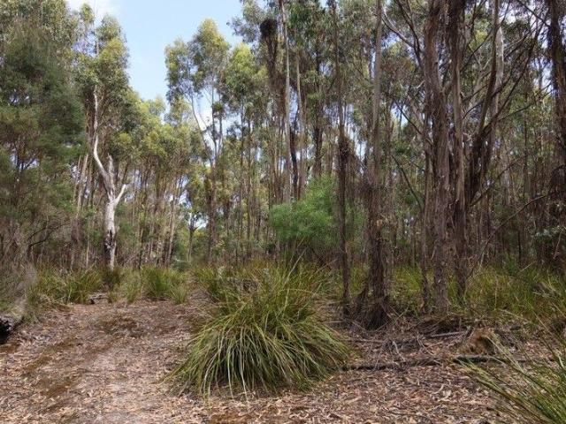 Ocean Views River Frontage 100 Acres