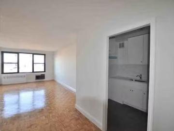 Flatbush, New York city, New York, USA