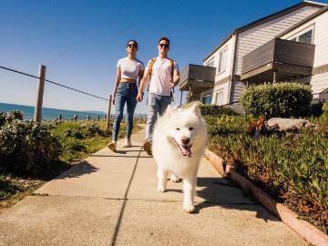 Edgemar, Pacifica city, San Mateo County, California, USA